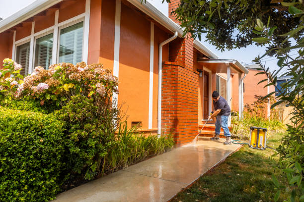 Best Local Pressure Washing Services  in Mckees Rocks, PA