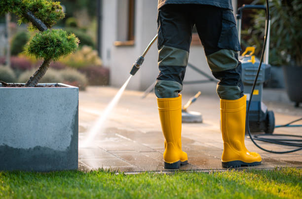 Best House Pressure Washing  in Mckees Rocks, PA